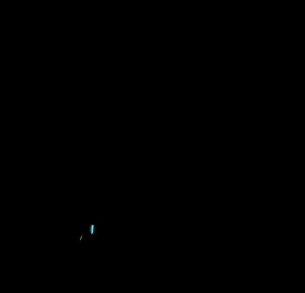 Bioluminescence In The Bahamas Video