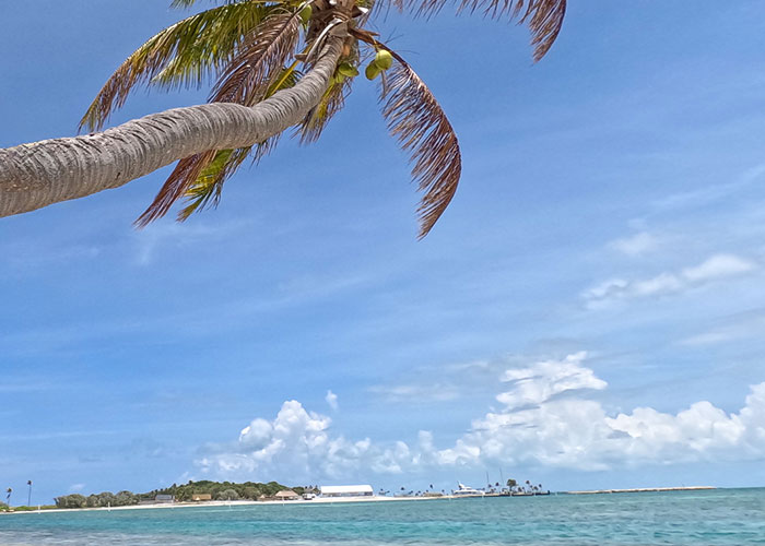 Palm Tree Beach Abaco